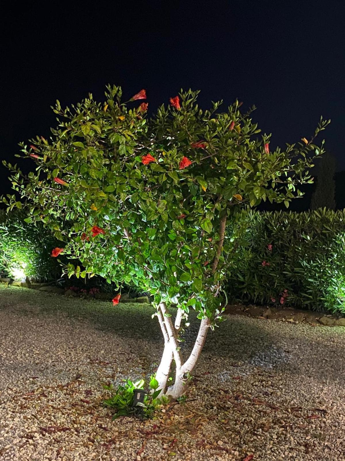 Finca Angelita Torrox Luaran gambar