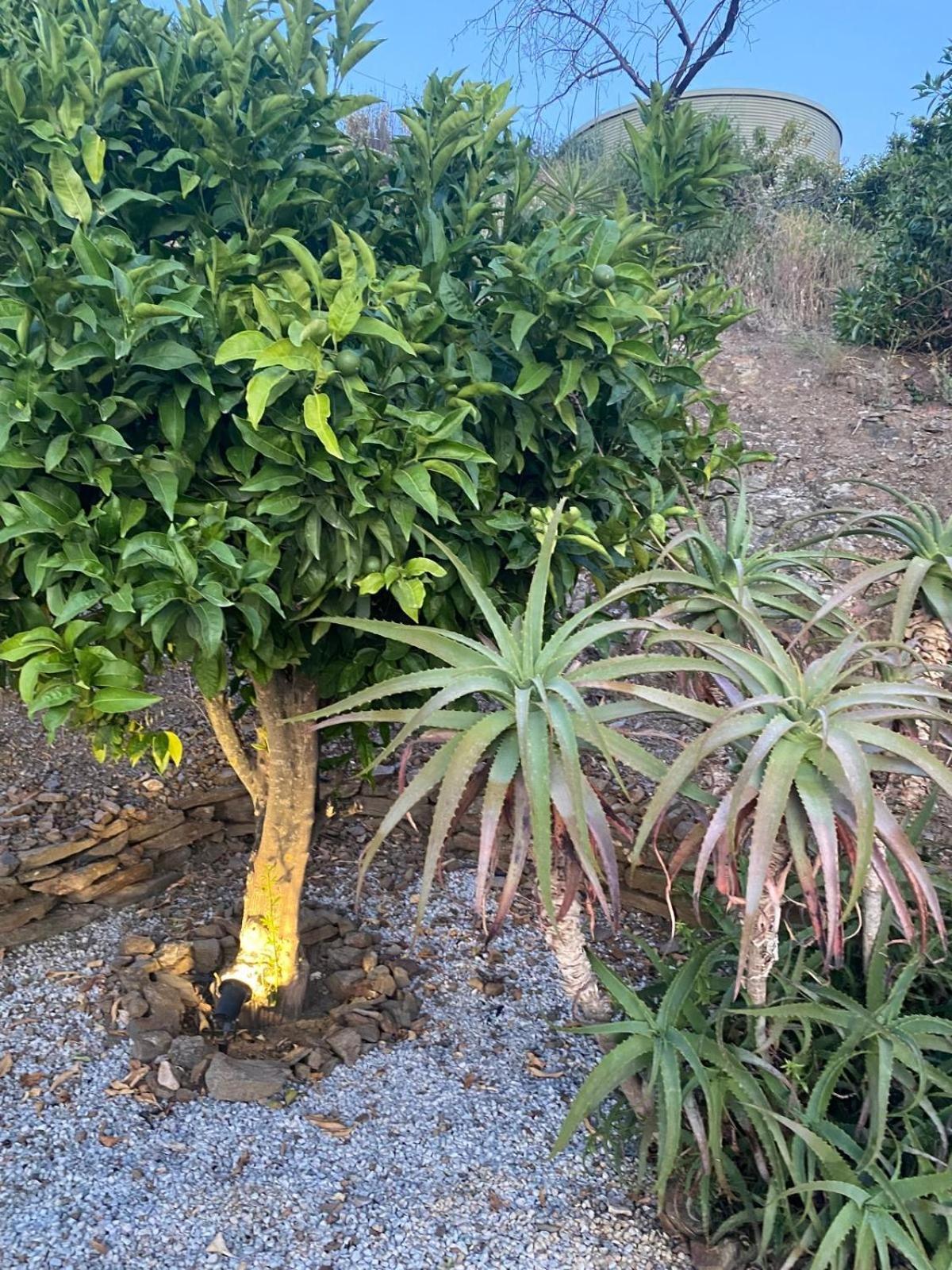 Finca Angelita Torrox Luaran gambar