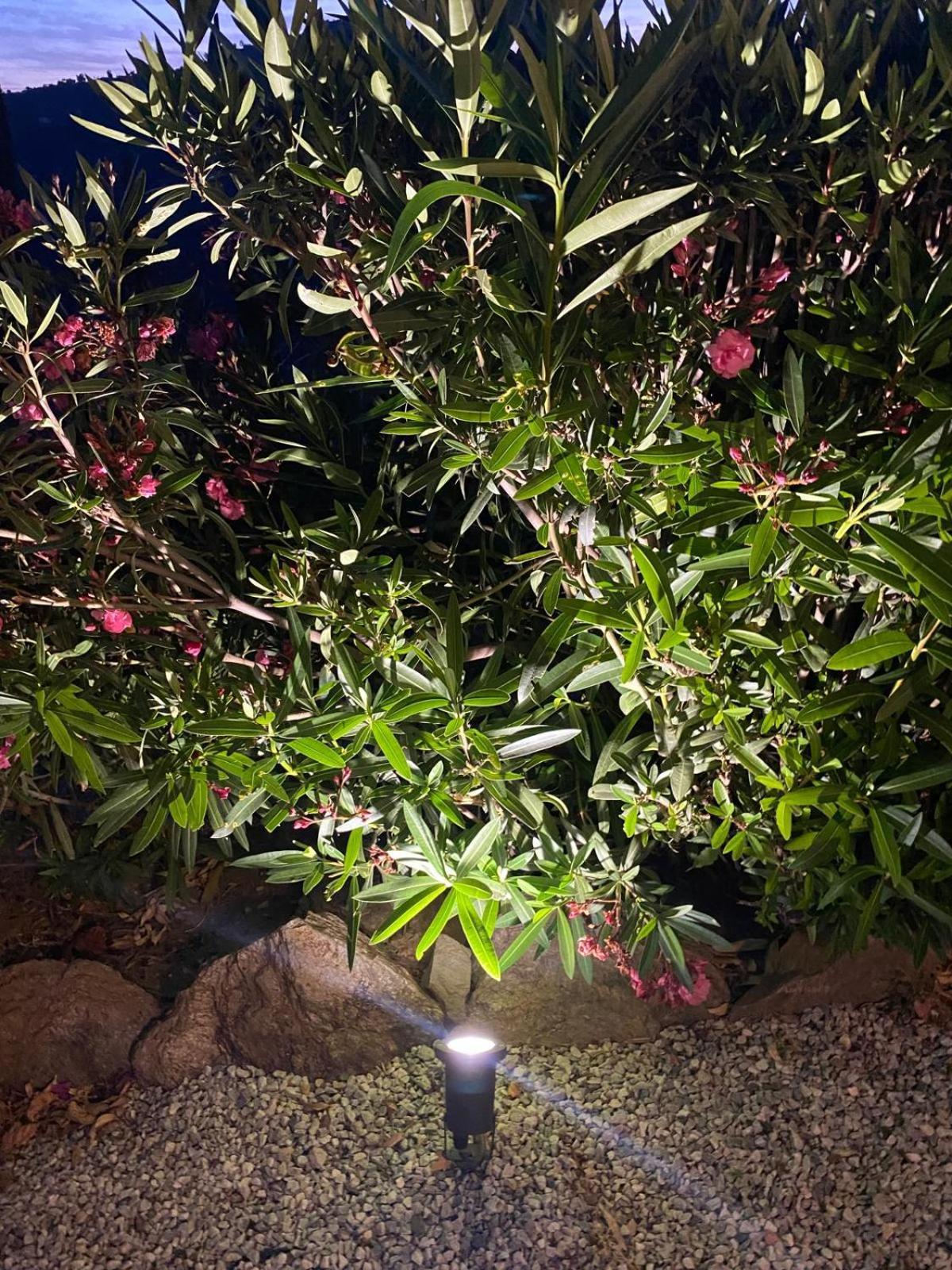 Finca Angelita Torrox Luaran gambar